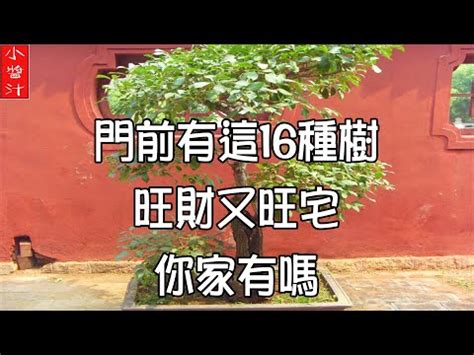 屋後有樹|【屋後種樹】屋後種樹，好運臨門？專家解答屋前屋後的樹木風水。